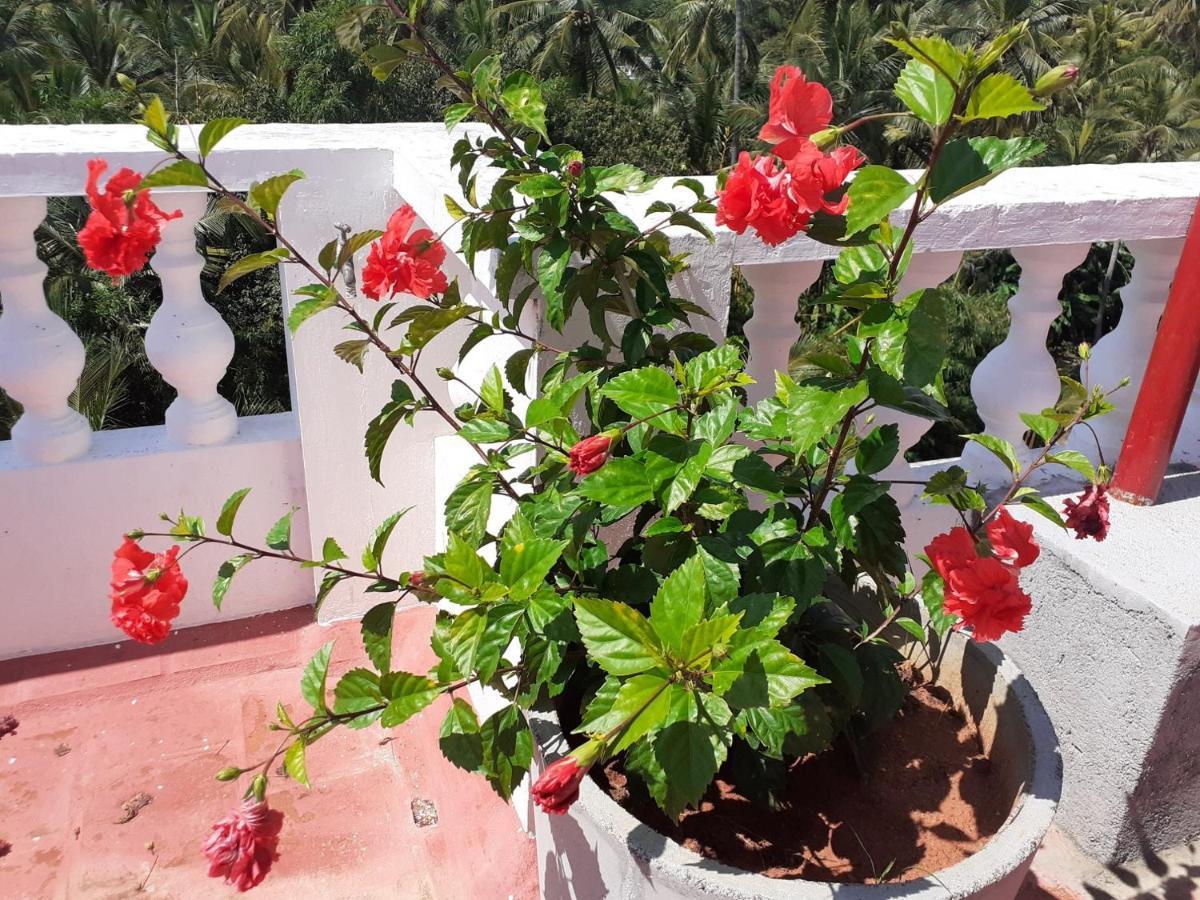 Holi-Wood Guesthouse Пондичери Екстериор снимка
